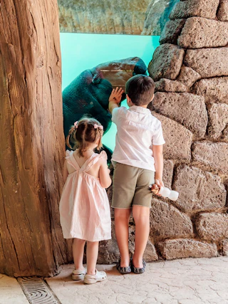 DTN- HI - Attractions - BREC's Baton Rouge Zoo