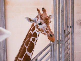 Baton Rouge Zoo