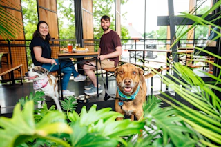 A cozy indoor dining space features two people at a table with food and drinks, accompanied by two dogs among lush greenery.