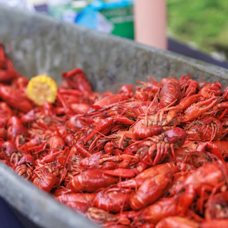 Crawfish