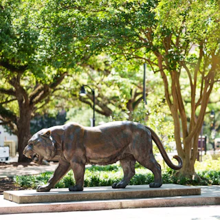 Mike the Tiger Habitat Statue