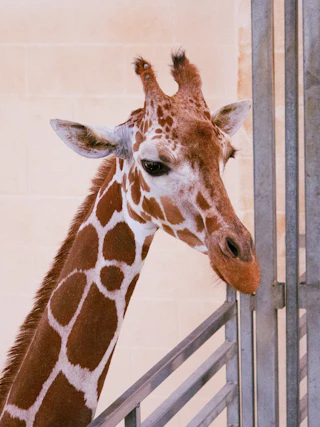 Baton Rouge Zoo
