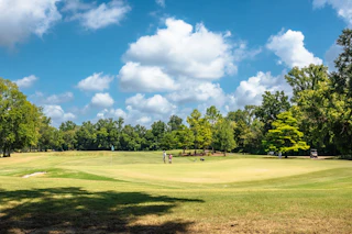 Golfing