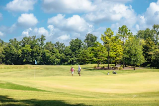Golfing