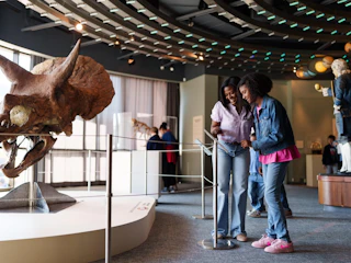 Louisiana Art & Science Museum