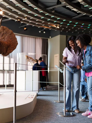 Louisiana Art & Science Museum